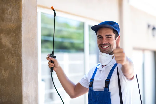 Brunswick Wasp Removal